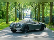 Jaguar XK - 120 OTS M1213