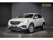 Opel Grandland - X 1.2 Turbo Online Edition | D-riem vervangen | Cruise | Car