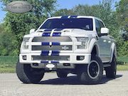 Ford USA F150 - Shelby