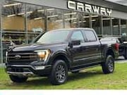 Ford USA F150 - USA 3.5 EcoBoost Tremor Black Edition BPM-VRIJ