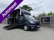 Ford Transit - | HORSETRUCK | STX | STALLION 3XL | 2023 | AUTOMAAT | HENGST