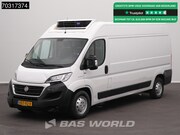 Fiat Ducato - 150pk 500KG D'Hollandia Laadklep L3H2 Koelwagen Carrier Xari