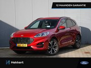 Ford Kuga - ST-Line X 2.5 PHEV 225pk Automaat WINTER PACK | HEAD-UP | 19