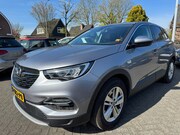 Opel Grandland - X 1.2 Turbo Business Executive 131pk, Apk 18/6/27, Clima, Cr
