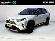 Toyota RAV4 - 2.5 Hybrid Bi-Tone