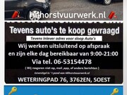 Renault Clio - 1.6-16V Rip Curl leuke aparte auto