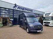 Mercedes-Benz Sprinter - Automaat STX 4, 1T C1 Rijbewijs!Paardenwagen Pro-Safety Nieu