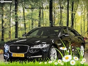 Jaguar XF - 2.0 Prestige | Cruise Control | Achteruitrijcamera | Stoelve