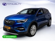 Opel Grandland - 1.6 Turbo Hybrid4 Innovation 225 PK | Navigatie | Denon audi