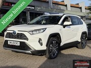 Toyota RAV4 - 2.5 Hybrid Business Plus keurig onderhouden