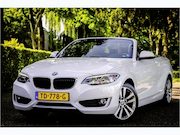 BMW 2-serie - Cabrio 228i High Executive Leder Windscherm