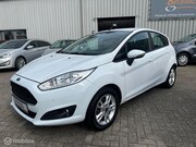 Ford Fiesta - 1.0 Black & White Edition 6/12 m garantie