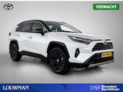 Toyota RAV4 - 2.5 Hybrid AWD Style Bi-Tone | Dealer onderhouden | Stoel+St