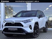 Toyota RAV4 - 2.5 Hybrid AWD Style Parkeersensoren, stoelverwarming, elekt