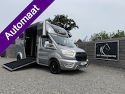 Ford Transit - | HORSETRUCK | STX | STALLION 2XL | 2022 | AUTOMAAT | HENGST