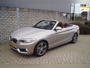 BMW 2-serie - 220i High Executive Luxury Autom Leder Sportst Stoelverw Nav