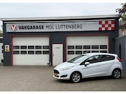 Ford Fiesta - 1.0 80PK 5D S/S Style Ultimate, PDC, AIRCO, CRUISE CONTROL, 