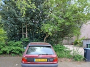 Opel Astra - 1.6i-16V Merit Tailgate X1.6 XEL automaat bouwjaar 1996
