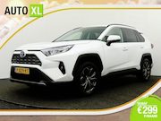 Toyota RAV4 - 2.5 Hybrid Business+ Innovation-pakket Leder 360*Camera JBL
