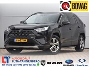 Toyota RAV4 - 2.0 VVT-iE Dynamic | Innovation Pack | Trekhaak 1500kg |