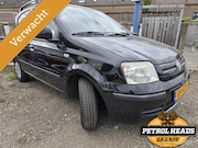 Fiat Panda - 1.2 Edizione Cool 5D | Airco