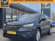 Opel Grandland - 1.2 Turbo Business Edition '' PDC - Infotainmentsystem - CC-