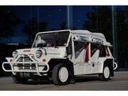 Austin Mini - 1000 Moke MOST UNIQUE EUROPE ORIGINAL
