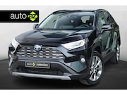 Toyota RAV4 - 2.5 Hybrid AWD Executive / Camera / DAB / Adaptive cruise