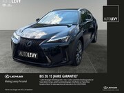 Lexus NX - UX300h F Sport Design +18'Zoll+elekt.Heckkl+Navi+
