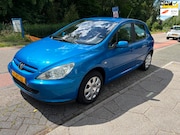 Peugeot 307 - 1.6-16V XS Premium + AIRCO + APK