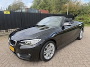 BMW 2-serie - Cabrio 220i Autom/Tiptr High Executive Leer/Stoelverw/Clima/