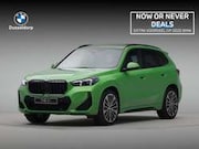 BMW X1 - xDrive25e JAVAGREEN II METALLIC