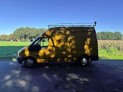 Ford Transit - 280M 2.2 TDCI Ambiente GOED LEZEN