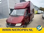 Mercedes-Benz Sprinter - 309CDI Paardenwagen/Horsetruck/Veewagen Automaat