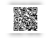 Fiat Panda - 1.1 actieve plus