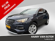 Opel Grandland - 1.2 Turbo Business Executive | Navi | ECC | Cruise | Trekhaa