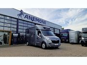 Opel Movano - STX S3 paardenwagen automaat hengsten uitvoering (id:53)