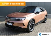 Opel Grandland - GS - PHEV | 20'' lichtmetalen wielen diamond cut | 7, 4 kW b