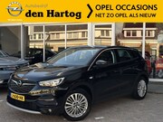 Opel Grandland - X 1.2 Turbo Business Executive ECC/ CAMERA / Sensoren.