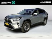 Toyota RAV4 - 2.0 VVT-iE Executive **TREKHAAK/ DODEHOEK DETECTIE/ 360 CAME